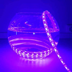 Tira de LED 24V-DC 72W multicolor RGB IP67 Rollo 5 metros