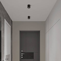 Aplique de techo policarbonato orientable - GU10