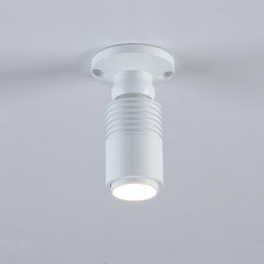 Aplique de techo con zoom - Orientable - 2700K - 3W