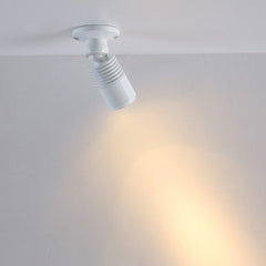 Aplique de techo con zoom - Orientable - 2700K - 3W