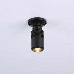 Aplique de techo con zoom - Orientable - 2700K - 3W