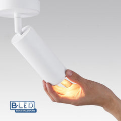 Aplique de techo LED orientable 8W - Ángulo ajustable - 2800K