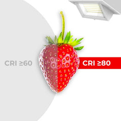 Downlight LED rectangular orientable CCT 38W - Blanco - 120° Driver LIFUD