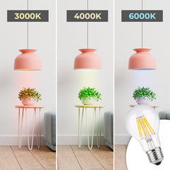 Bombilla LED filamento E27 60 - 8W - Transparente