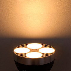 Pack Lámpara de techo o pared "CINEMA" con Bombilla LED PAR30 E27