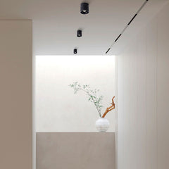Aplique de techo policarbonato orientable - GU10