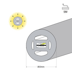 Neón LED flexible 360º circular - Ø22mm - 5 metros - 24V DC - 240Ch/m - 19,2W/m - IP65