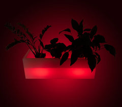 Macetero LED RGBW recargable - 12W - IP67