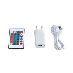 Macetero LED RGBW recargable - 12W - IP67
