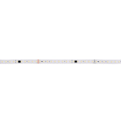 Tira LED monocolor inteligente IC 24V DC - 15W/m - IP20 - 120LED/m - Ancho 10mm - 10 metros