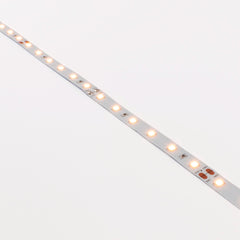 Tira LED 24V DC - 12W/m - Monocolor- 10mm - IP20 - 5 metros - SMD2835 60ch/m