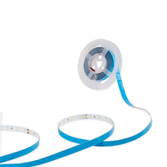 Tira LED 24V DC - 12W/m - Monocolor- 10mm - IP20 - 5 metros - SMD2835 60ch/m