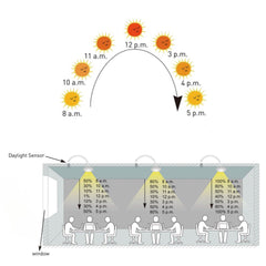 Sensor de luz fotoeléctrico Crepuscular 360º de superficie o empotrar - Regulación 1-10V-DC