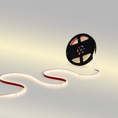 Tira LED 24V DC - 12W/m - Monocolor- 12mm - IP67 - 5 metros - SMD2835 60ch/m