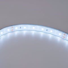 Tira LED 24V DC - 12W/m - Monocolor- 12mm - IP67 - 5 metros - SMD2835 60ch/m