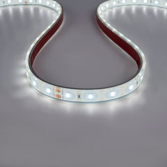Tira LED 24V DC - 12W/m - Monocolor- 12mm - IP67 - 5 metros - SMD2835 60ch/m