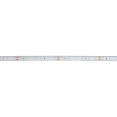 Tira LED 24V DC - 12W/m - Monocolor- 12mm - IP67 - 5 metros - SMD2835 60ch/m