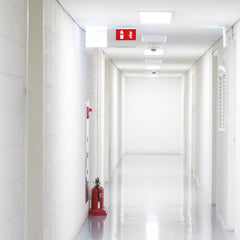 Luz de emergencia permanente con pictograma "Extintor" - Empotrable