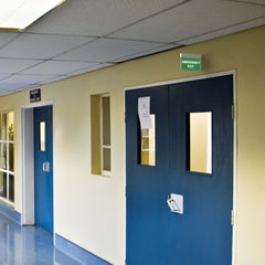Luz de emergencia permanente con cartel "Emergency Exit"