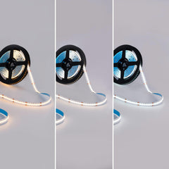 Tira LED COB 24V DC - RGB + CCT - 19W/m - 12mm - IP20 - Rollo de 5 metros