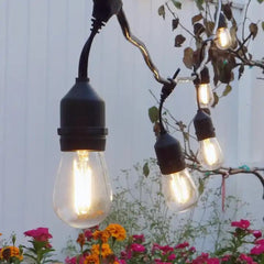 Kit guirnalda luces exterior 11,5 metros + 10 bombillas LED E27 filamento 1W - IP44