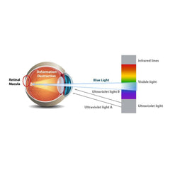 Bombilla LED GU10 6W Full Spectrum "SUNLIKE" - Cristal - 500lm - CRI90 - PAR16 - 36°
