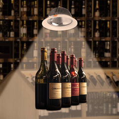 Downlight LED especial para tiendas de oro y vino - 40W - Driver Philips - Corte Ø210 mm