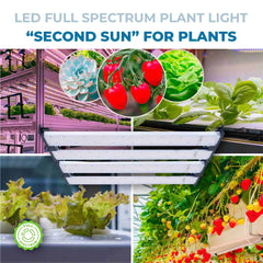 Luminaria LED de cultivo interior - 250W - Regulable 0-10V - Grow light Full Spectrum