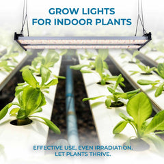 Luminaria LED de cultivo interior - 250W - Regulable 0-10V - Grow light Full Spectrum