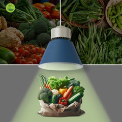 Campana LED 36W especial para verdulerías - Driver KeGu