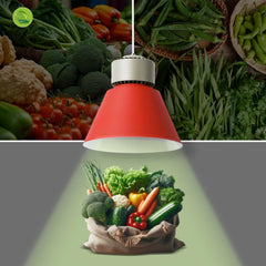 Campana LED 36W especial para verdulerías - Driver KeGu