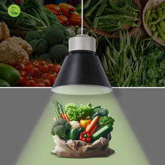 Campana LED 36W especial para verdulerías - Driver KeGu
