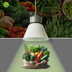 Campana LED 36W especial para verdulerías - Driver KeGu