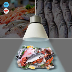 Campana LED 36W especial para pescados y mariscos - Driver KeGu