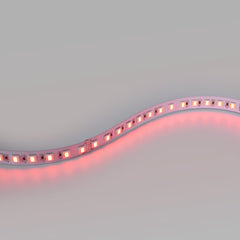 Tira LED 48V DC - RGB + CCT - 15W/m - 12mm - IP20 - 10 metros - 90ch/m