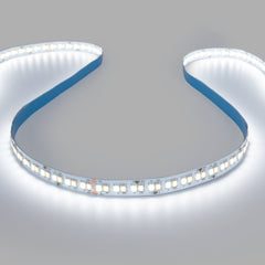 Tira LED 48V DC - CCT (1800-6500K) - 12W/m - 10mm - IP20 - 20 metros - 224ch/m
