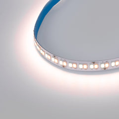 Tira LED 48V DC - CCT (1800-6500K)- 12W/m - 10mm - IP20 - 10 metros - 224ch/m