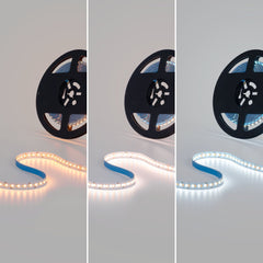 Tira LED 48V DC - CCT (1800-6500K)- 12W/m - 10mm - IP20 - 10 metros - 224ch/m