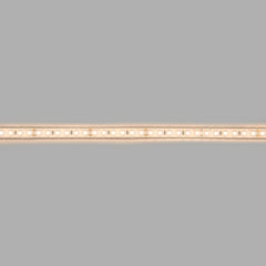 Tira LED 24V DC sumergible - Monocolor - 9.6W/m - 10mm - IP68 - 5 metros - 120ch/m