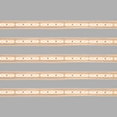 Tira LED 24V DC sumergible - Monocolor - 9.6W/m - 10mm - IP68 - 5 metros - 120ch/m