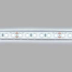 Tira LED 24V DC sumergible - Monocolor - 9.6W/m - 10mm - IP68 - 5 metros - 120ch/m