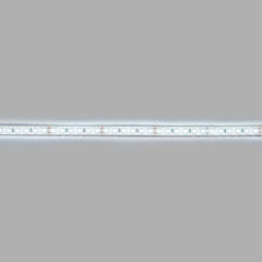 Tira LED 24V DC sumergible - Monocolor - 9.6W/m - 10mm - IP68 - 5 metros - 120ch/m