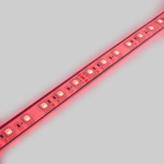 Tira LED 24V DC sumergible - RGB - 14.4W/m - 12mm - IP68 - 10 metros - 60ch/m