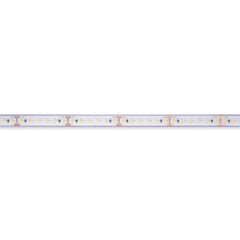 Tira LED 24V DC sumergible - Monocolor - 9.6W/m - 12mm - IP68 - 10 metros - 120ch/m