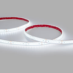 Tira LED 24V DC sumergible - Monocolor - 9.6W/m - 12mm - IP68 - 10 metros - 120ch/m