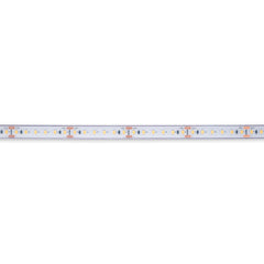 Tira LED 24V DC sumergible - Monocolor - 9.6W/m - 12mm - IP68 - 10 metros - 120ch/m