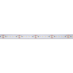Tira LED 24V DC sumergible - Monocolor - 9.6W/m - 12mm - IP68 - 10 metros - 120ch/m