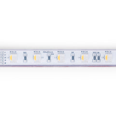 Tira LED 24V DC sumergible - RGBW - 14.4W/m - 12mm - IP68 - 10 metros - 60ch/m