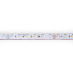 Tira LED 24V DC sumergible - RGBW - 14.4W/m - 12mm - IP68 - 10 metros - 60ch/m