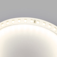 Tira LED 48V DC - Monocolor - 12W/m - 10mm - IP20 - 10 metros - 120ch/m